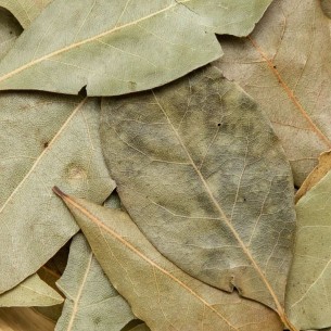 Laurier (feuilles...