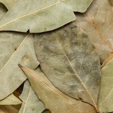 Laurier (feuilles déshydratées)