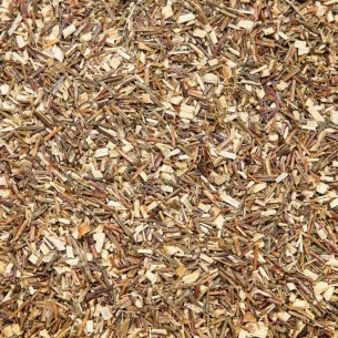 Rooibos vert BIO